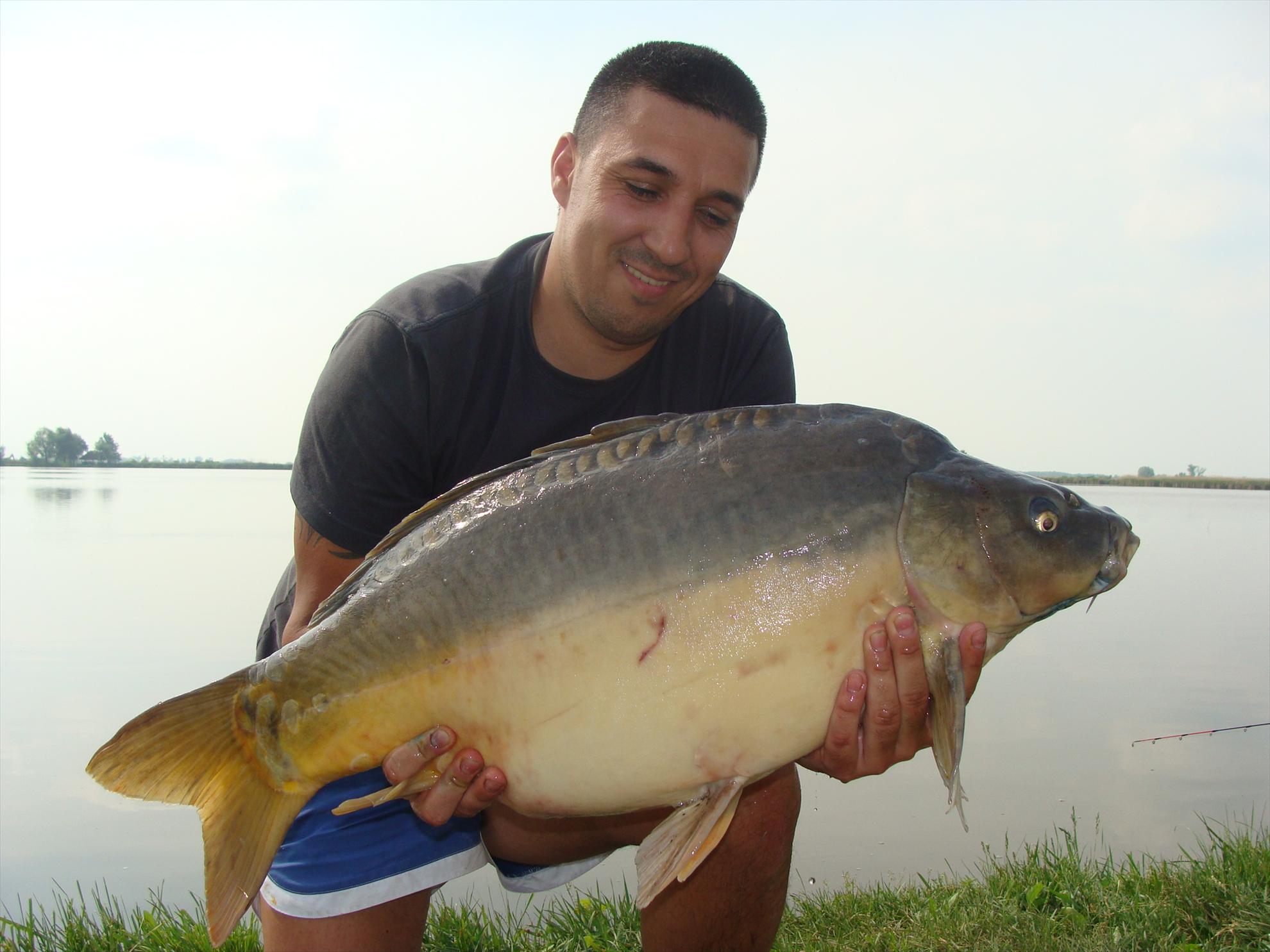 Pasiune - dsc04239.JPG